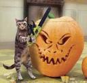 halloween_cat_chainsaw.jpg